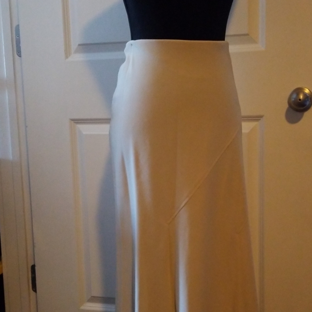 Elegant Lined Skirt
